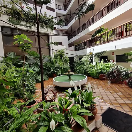 Charco Puerto de la Cruz (Tenerife)